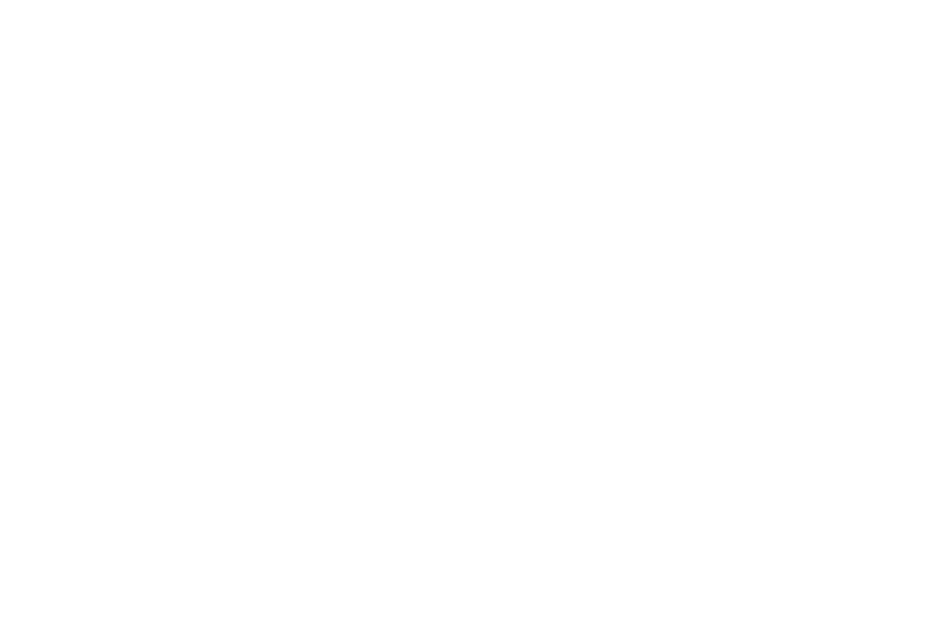 Magis Capital